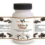 Gélules de Shilajit Pur de l'Himalaya – Riche en Acide Fulvique & Minéraux | Parfum Mielleux